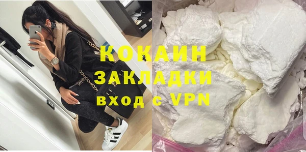 прущие грибы Медногорск