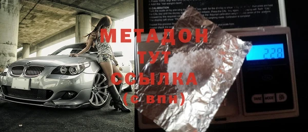 прущие грибы Медногорск
