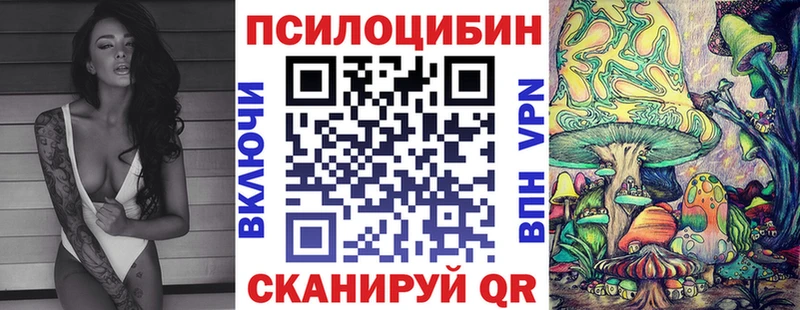 купить цена гидра сайт Псилоцибиновые грибы прущие грибы Тверь