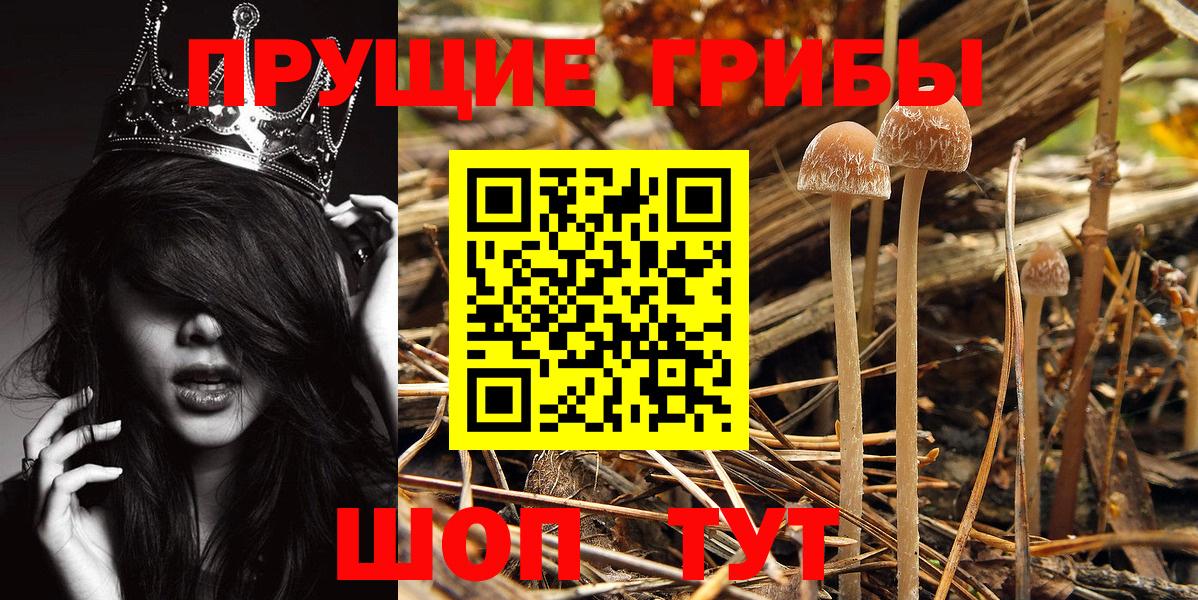 сколько стоит  Псилоцибиновые грибы Psilocybe  Вход с VPN  Галлюциногенные грибы GOLDEN TEACHER  Тверь 