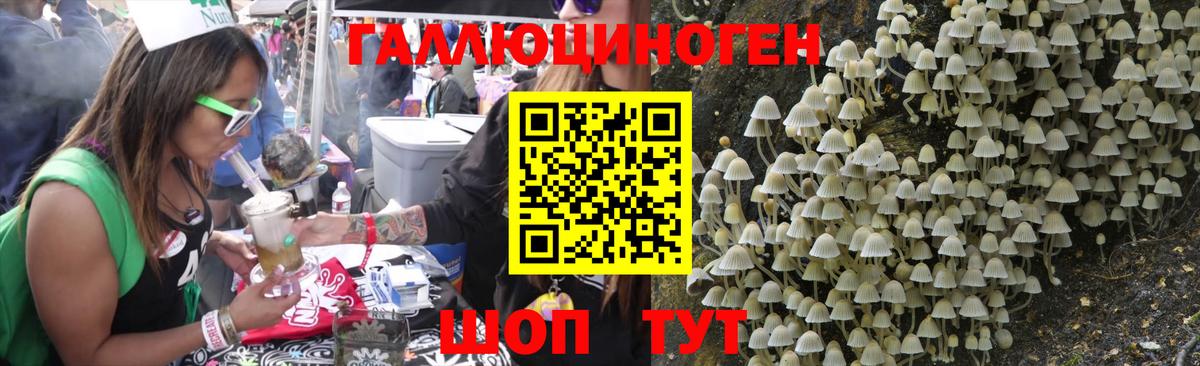 Псилоцибиновые грибы MAGIC MUSHROOMS  Тверь 